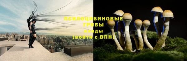 синтетический гашиш Арсеньев