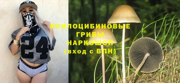 синтетический гашиш Арсеньев