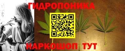 гашиш Новодвинск
