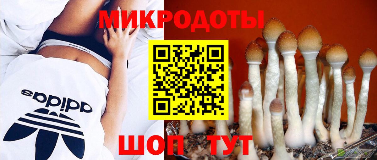 Псилоцибиновые грибы мицелий Тольятти