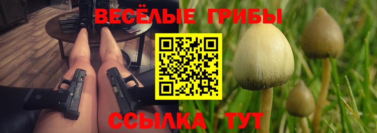 Галлюциногенные грибы Magic Shrooms  Псилоцибиновые грибы GOLDEN TEACHER  Вход с VPN  что такое   Тольятти 