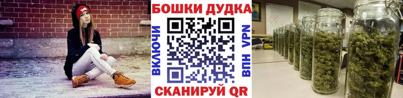 МАРИХУАНА план  купить  цена  Тольятти 